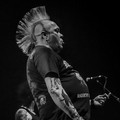 GutterPunk - Professional Concert Photography